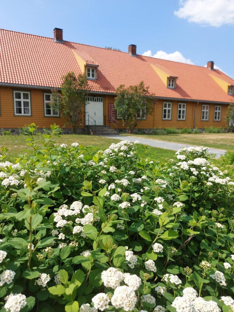 Blomsterbusk med gult hus i bakgrunnen